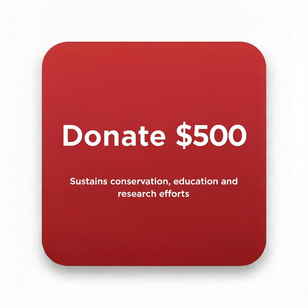 Strengthens conservation, education and research efforts